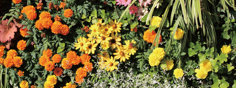 農業・園芸製品